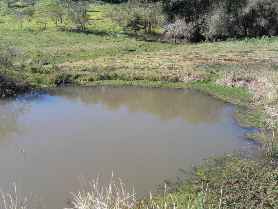 VENDO CHACRA 10 HAS - PROPIEDAD - LEANDRO N. ALEM - MISIONES. - 12