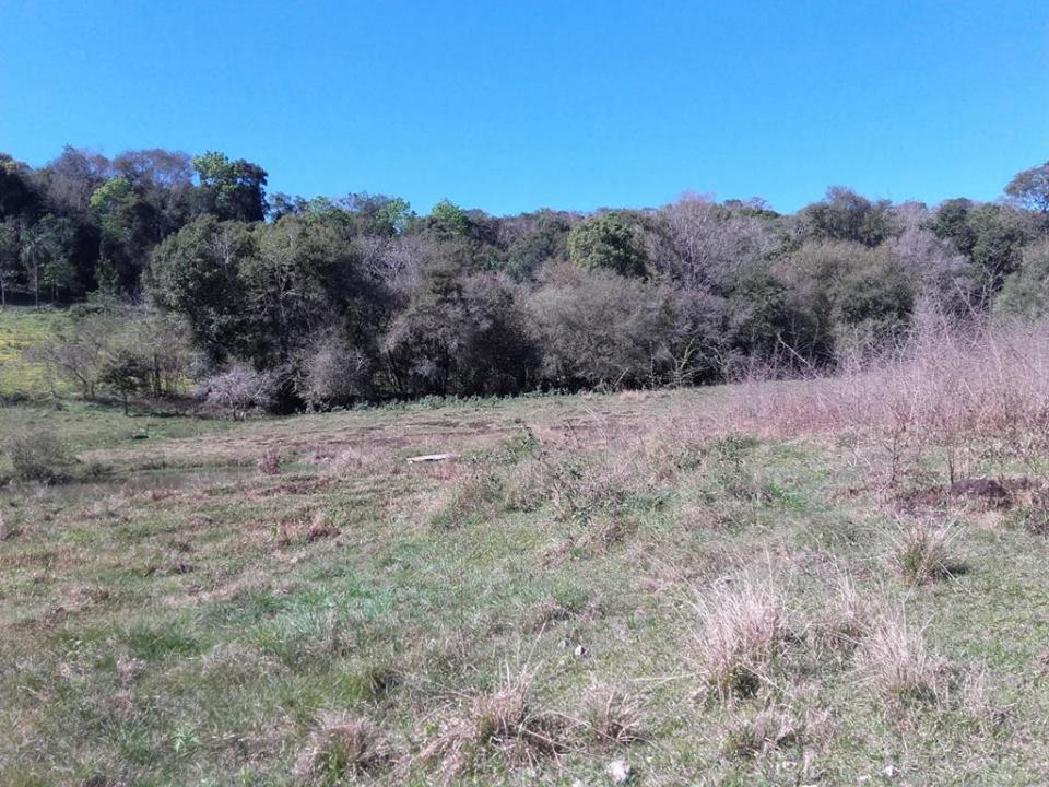 VENDO CHACRA 10 HAS - PROPIEDAD - LEANDRO N. ALEM - MISIONES. - 14