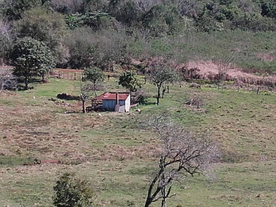 VENDO CHACRA 10 HAS - PROPIEDAD - LEANDRO N. ALEM - MISIONES. - 15