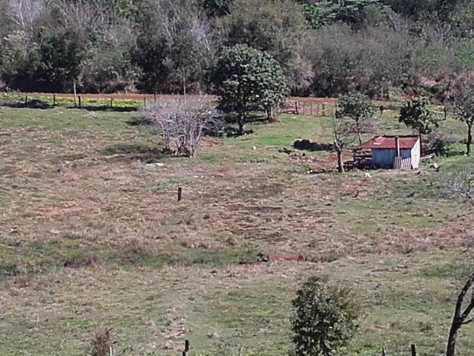 VENDO CHACRA 10 HAS - PROPIEDAD - LEANDRO N. ALEM - MISIONES. - 17