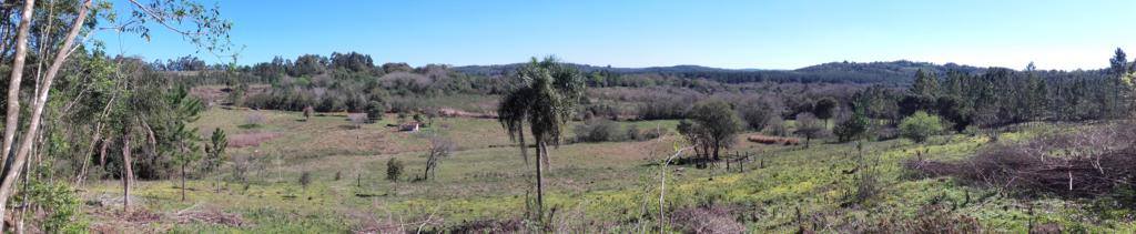VENDO CHACRA 10 HAS - PROPIEDAD - LEANDRO N. ALEM - MISIONES. - 18