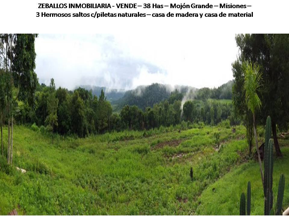 ZEBALLOS INMOBILIARIA VENDE!!!
38 Has Mojón Grande - Misiones.- - 1
