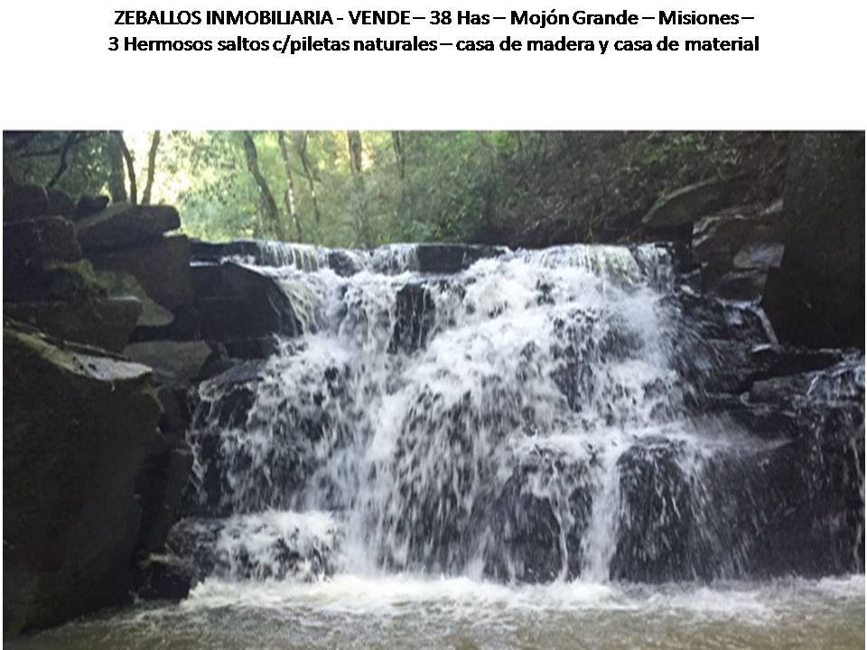 ZEBALLOS INMOBILIARIA VENDE!!! 38 Has Mojón Grande - Misiones. - 4