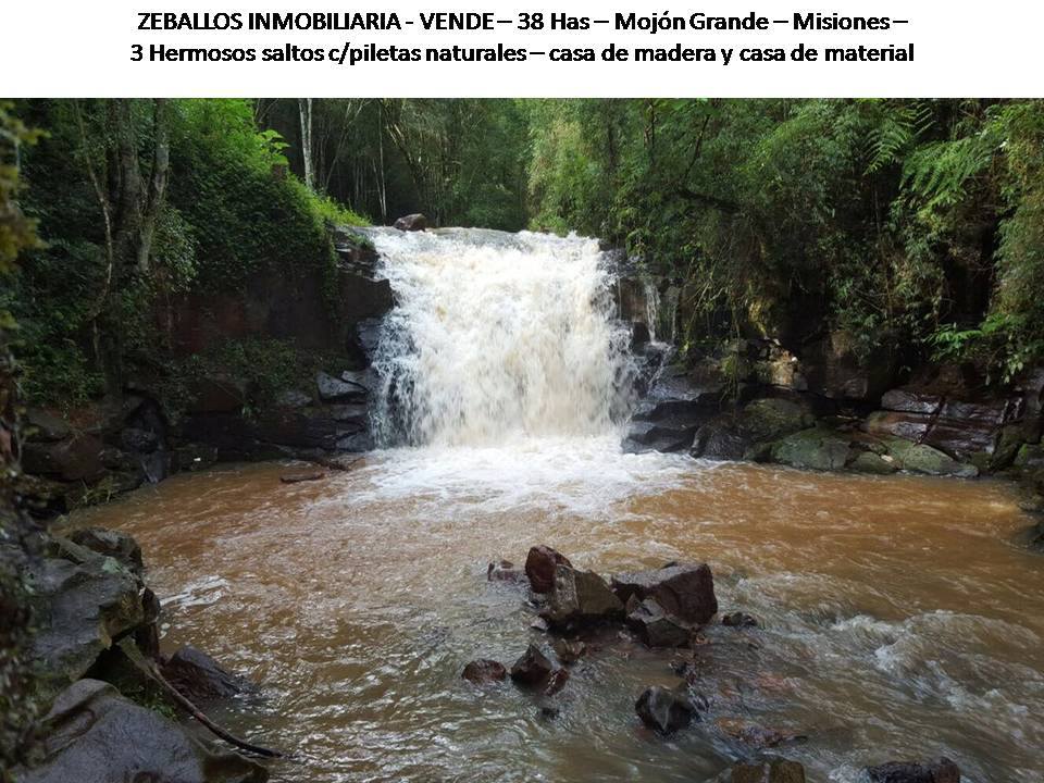 ZEBALLOS INMOBILIARIA VENDE!!! 38 Has Mojón Grande - Misiones. - 5