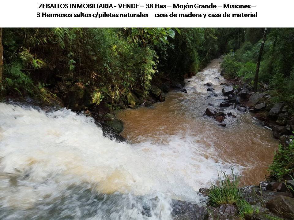 ZEBALLOS INMOBILIARIA VENDE!!! 38 Has Mojón Grande - Misiones. - 6