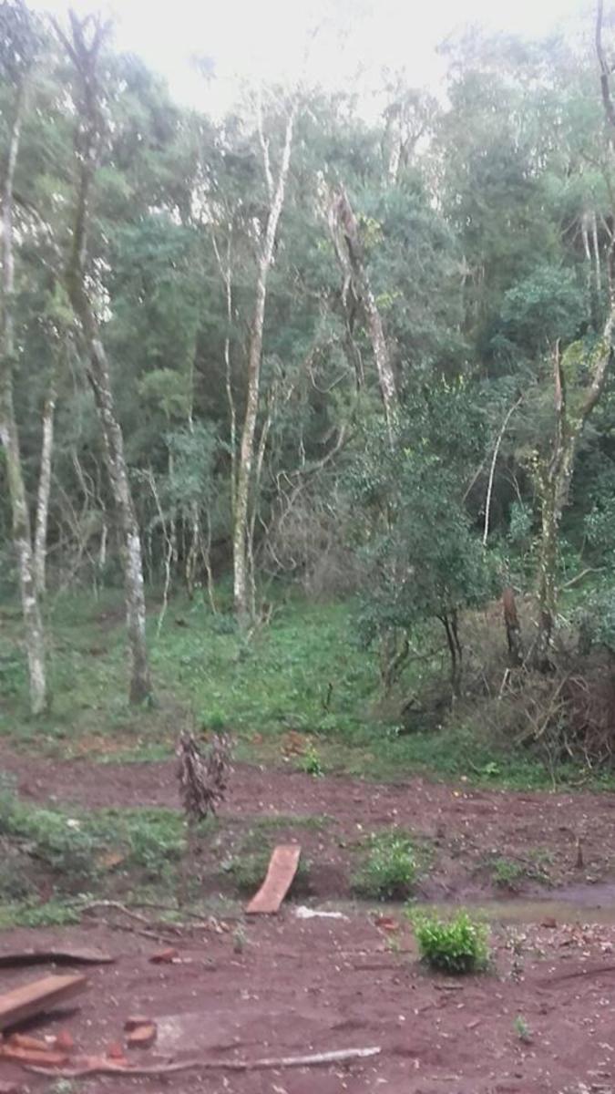 ***REMATO - CHACRA -PROPIEDAD. $ 650000 - 1