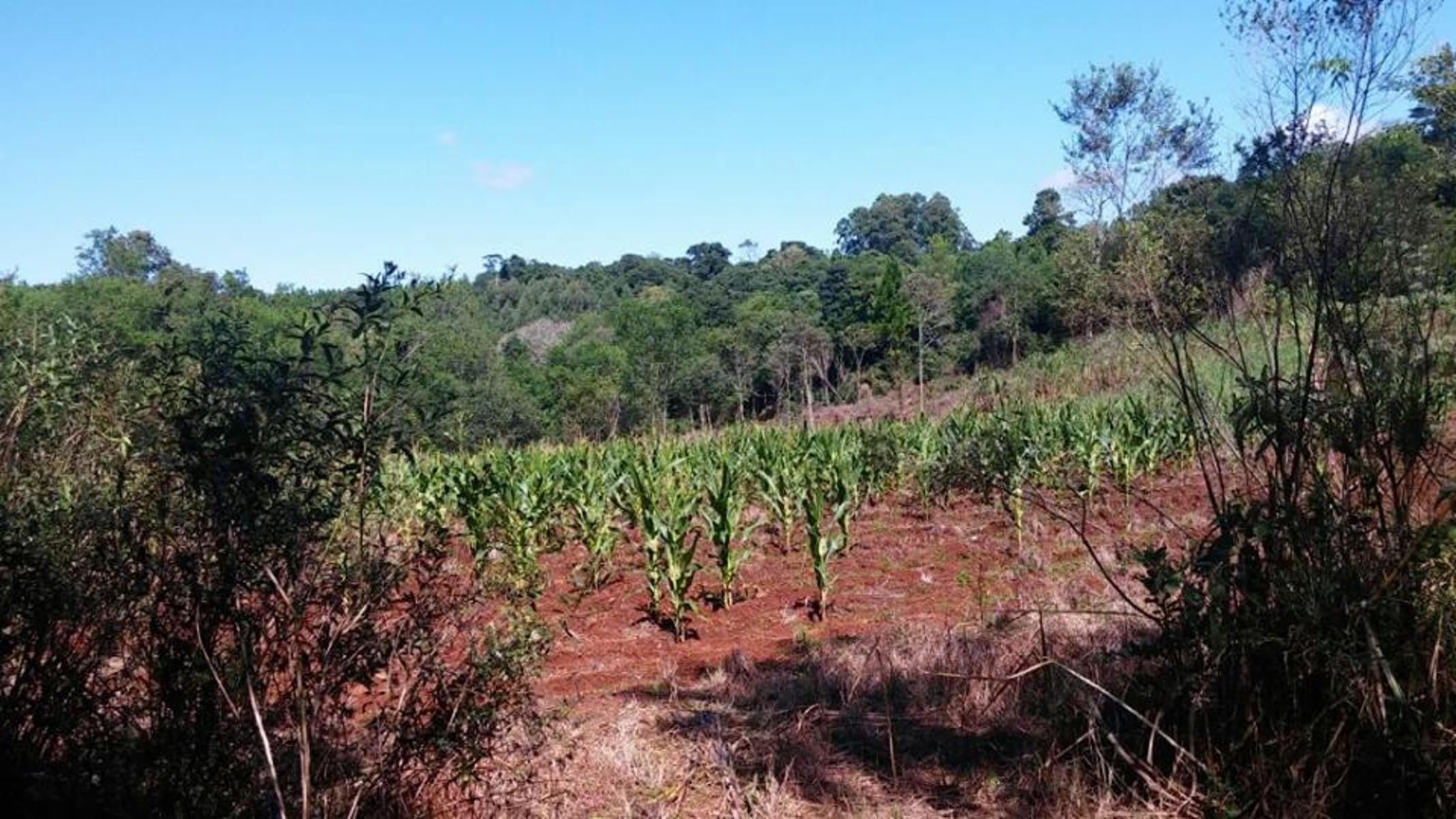 ***REMATO - CHACRA -PROPIEDAD. $ 650000 - 4