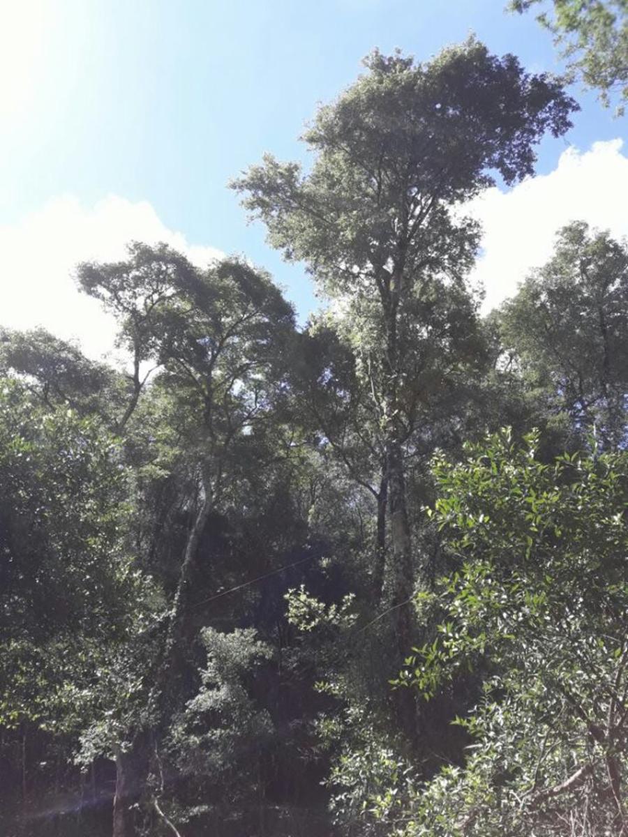 ***REMATO - CHACRA -PROPIEDAD. $ 650000 - 7