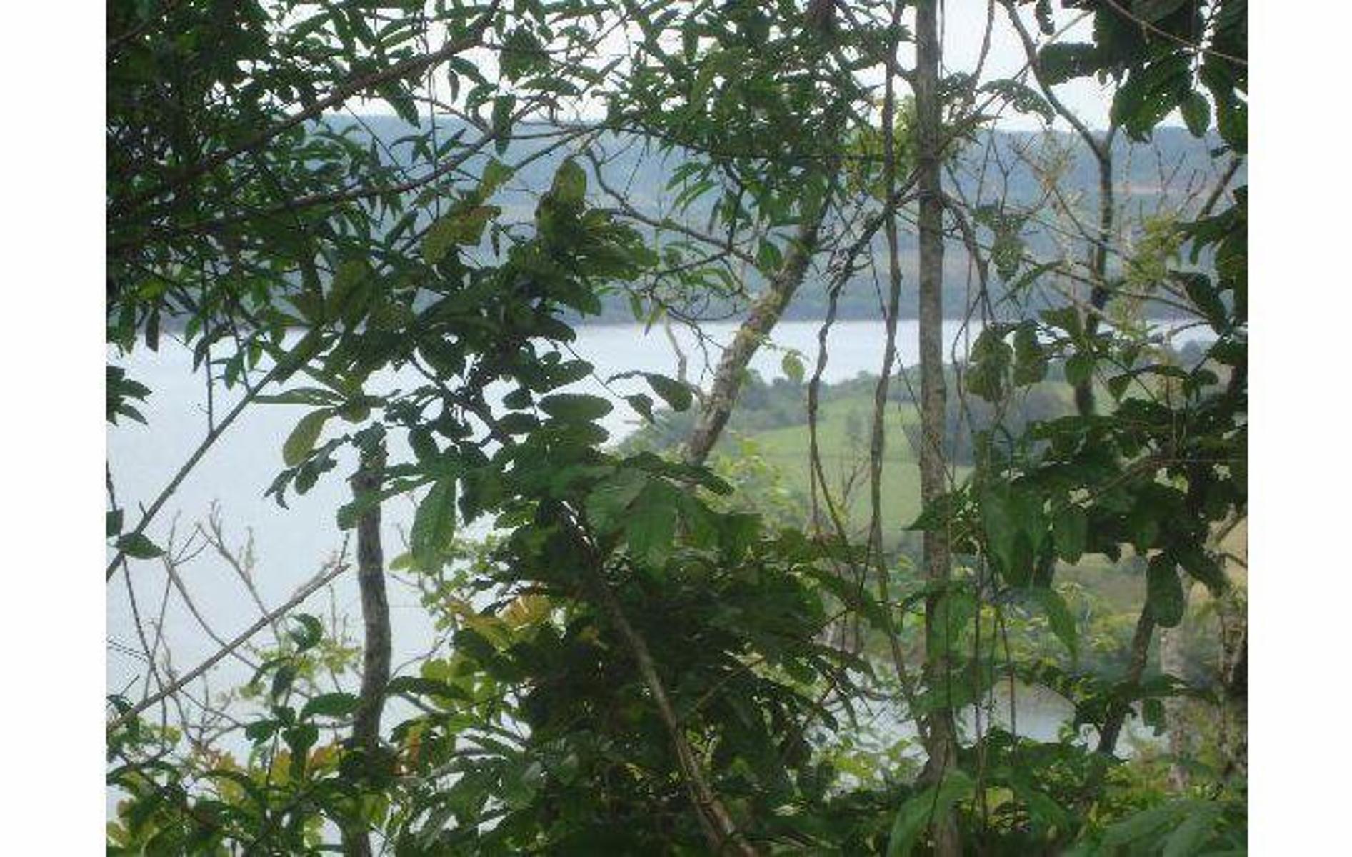 VENDO CHACRA SOBRE RÍO URUGUAY - 7