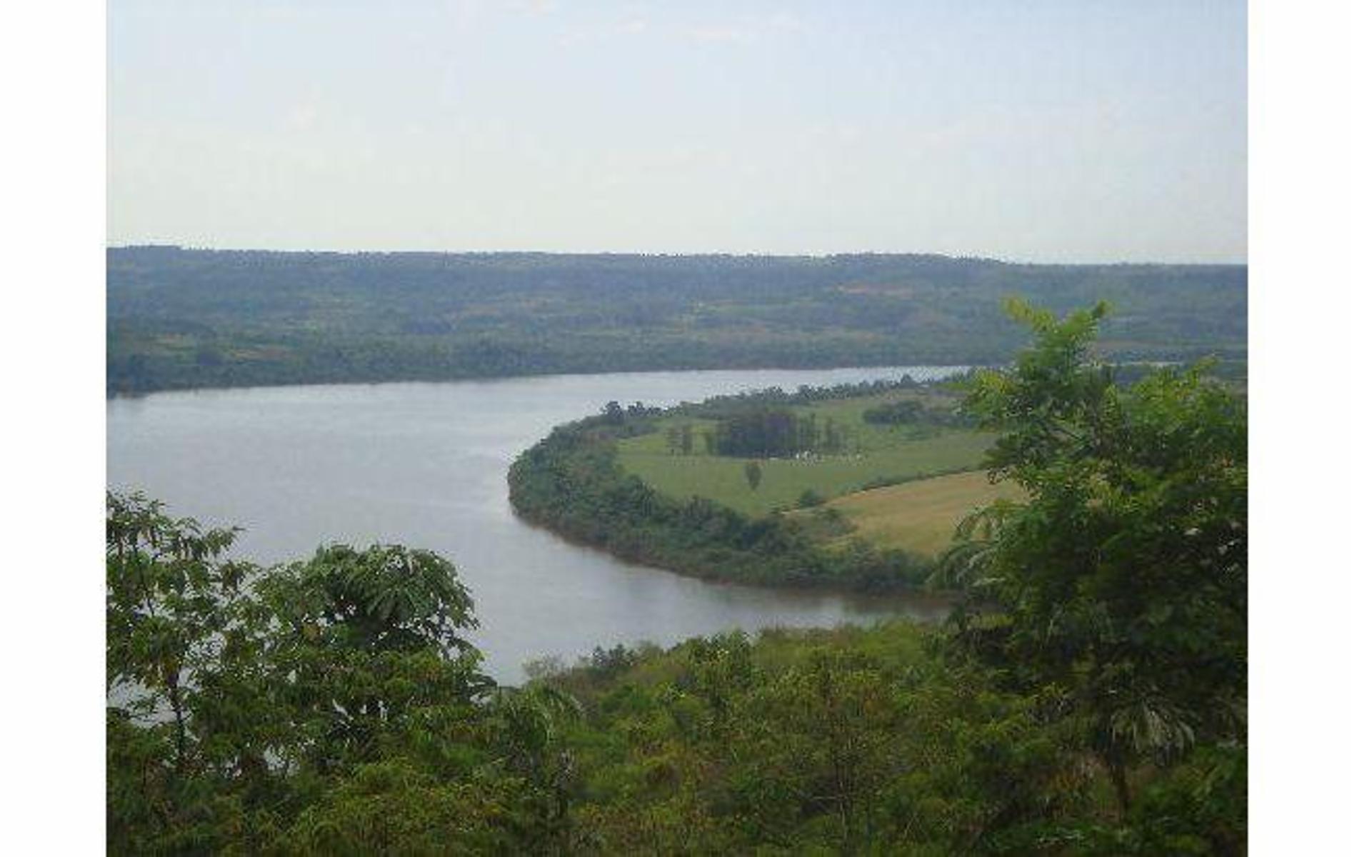 VENDO CHACRA SOBRE RÍO URUGUAY - 9