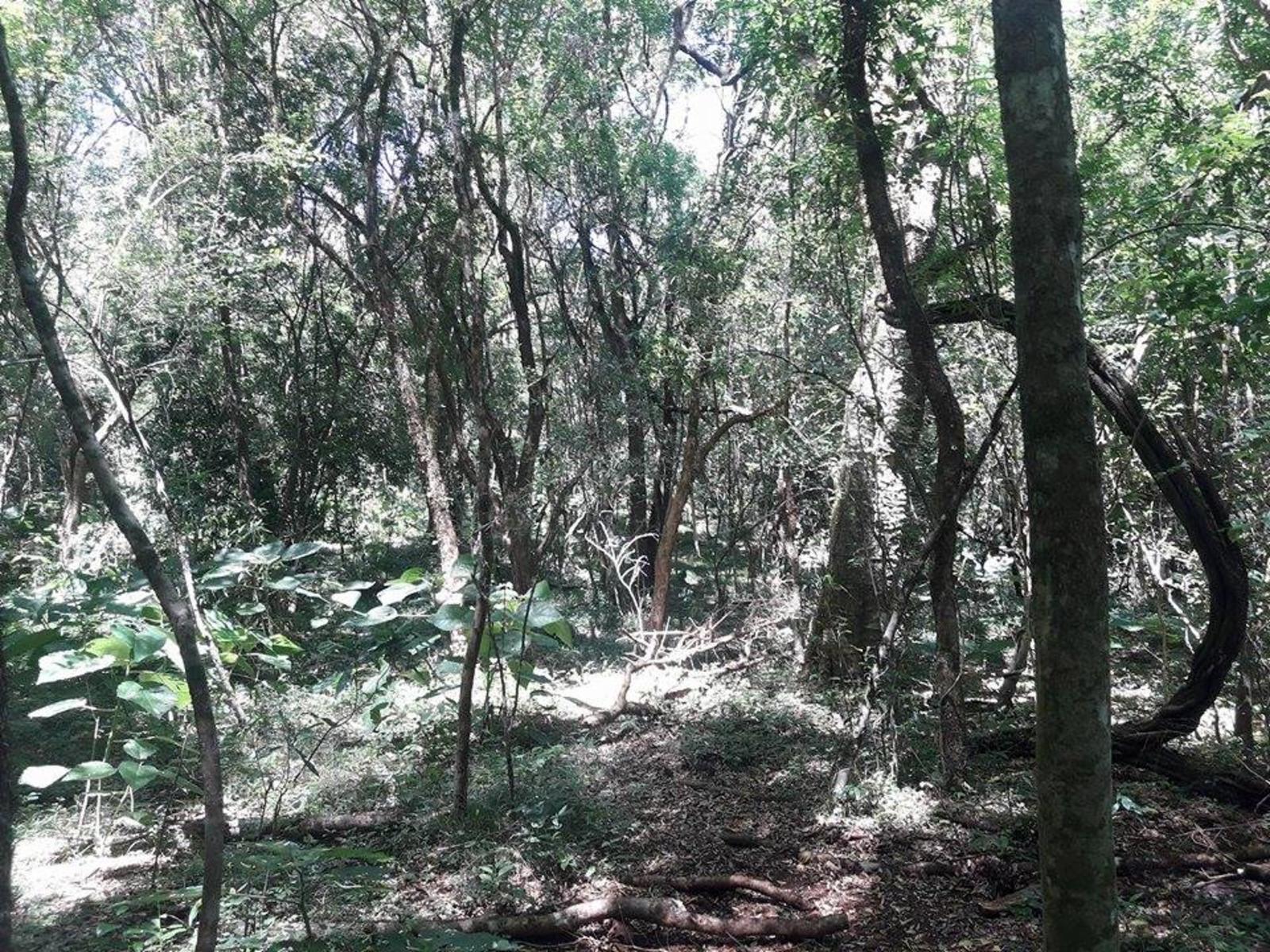VENDO CHACRA EN ARROYO DEL MEDIO - 10