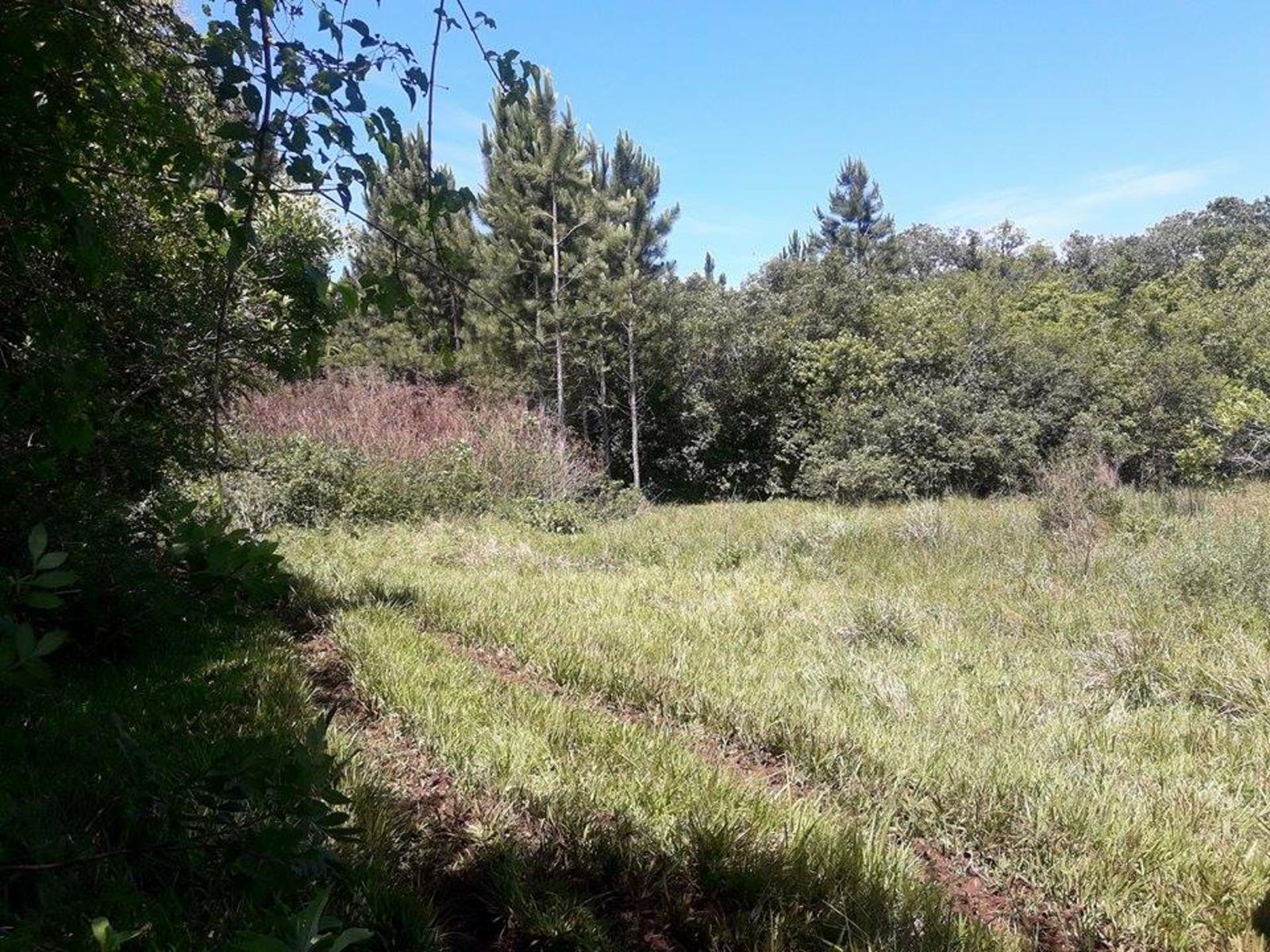 VENDO CHACRA EN ARROYO DEL MEDIO - 11
