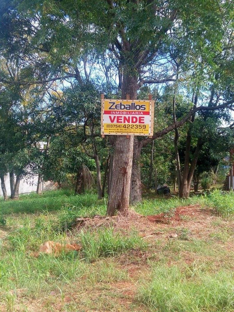 TERRENO A LA VENTA MUY BUENA OPORTUNIDAD - 3