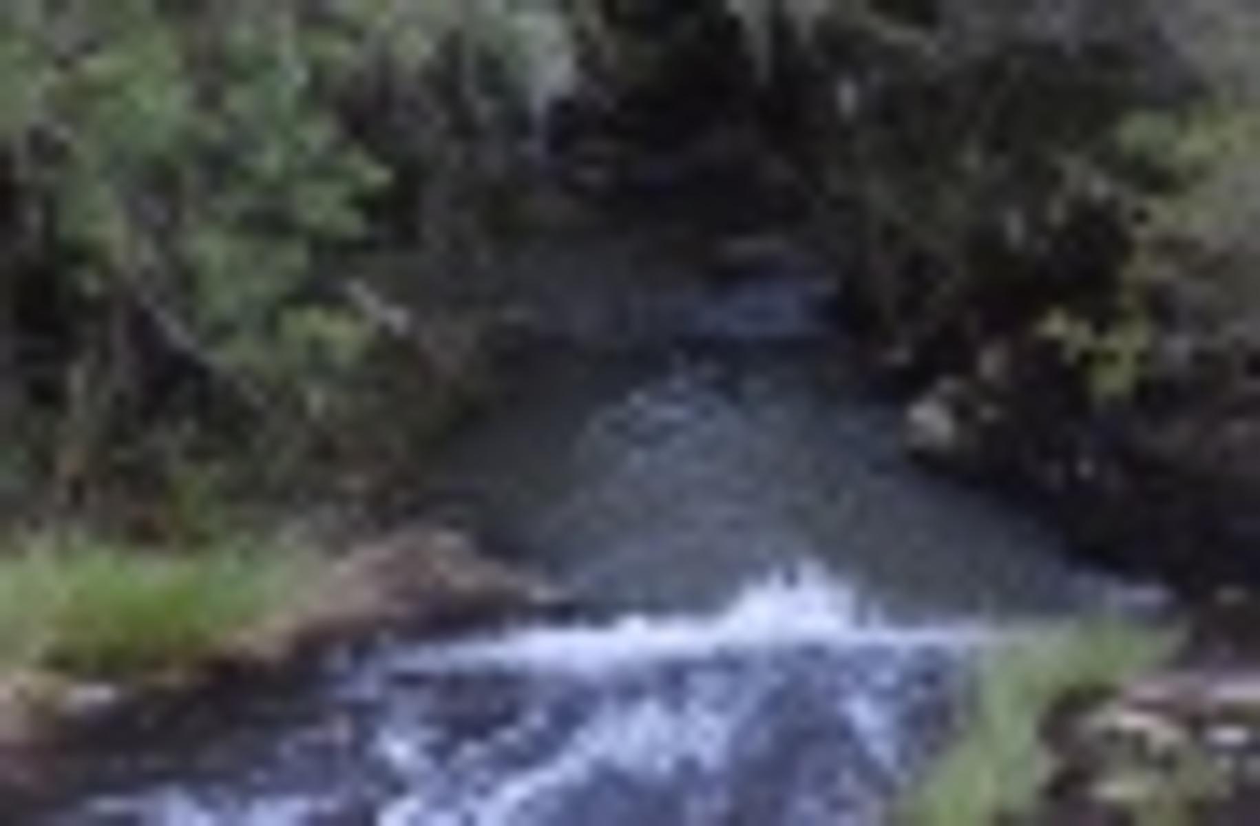 CAMPO GANADERO A LA VENTA - 2