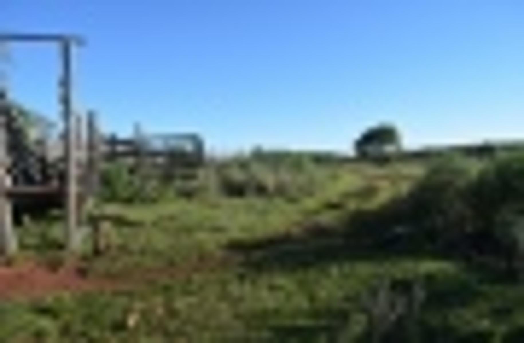 CAMPO GANADERO A LA VENTA - 4