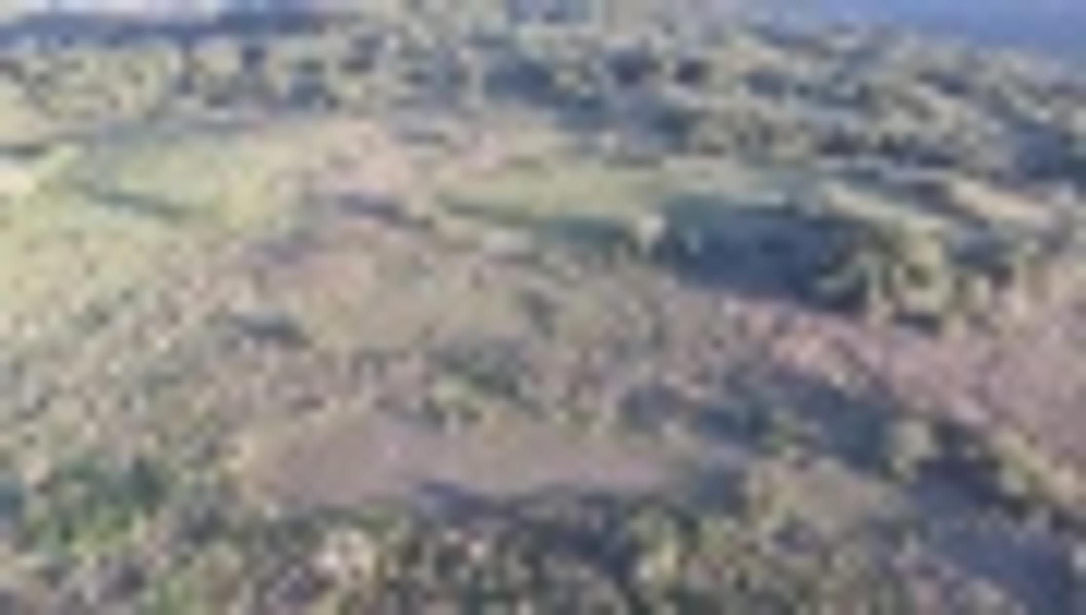 CAMPO GANADERO A LA VENTA - 5
