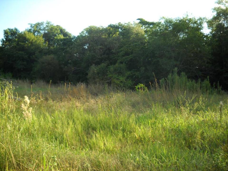 Oportunidad 50 Has Arroyo del Medio - 2