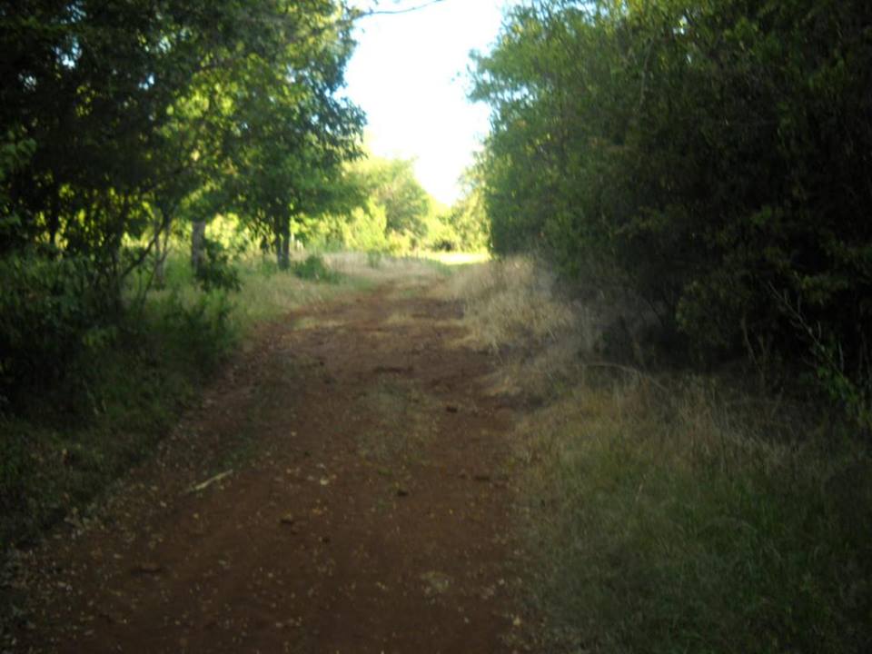 Oportunidad 50 Has Arroyo del Medio - 5