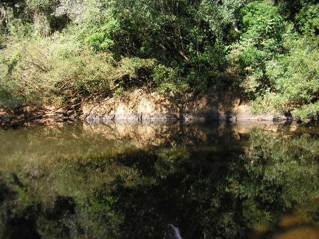 "campos en Irigoyen" - 2