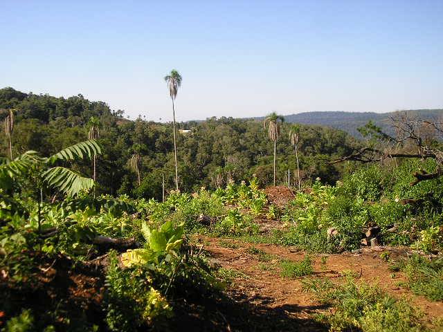 "campos en Irigoyen" - 3