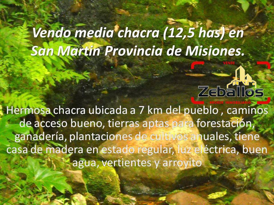 vendo media chacra 12.5 has en san martin - 1