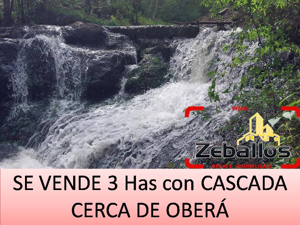 Vendo chacra de 3 has - 1