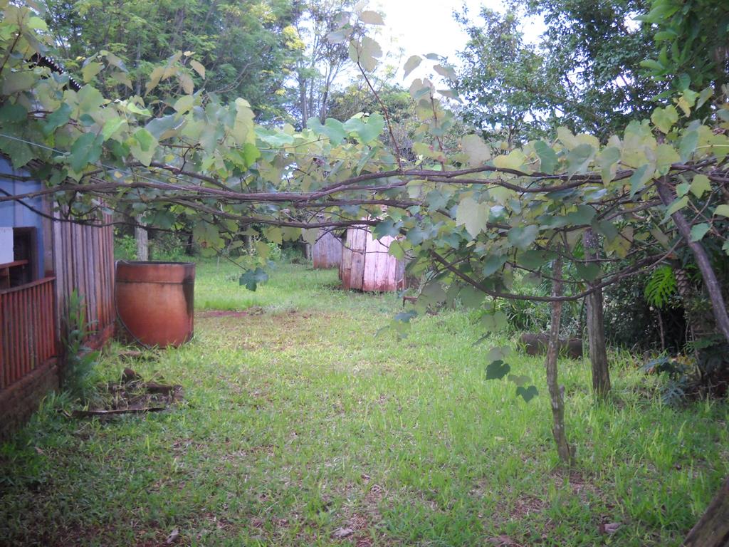 VENDO / PERMUTO - 12,5 Has Gral. Alvear - Prov. de Misiones - 2