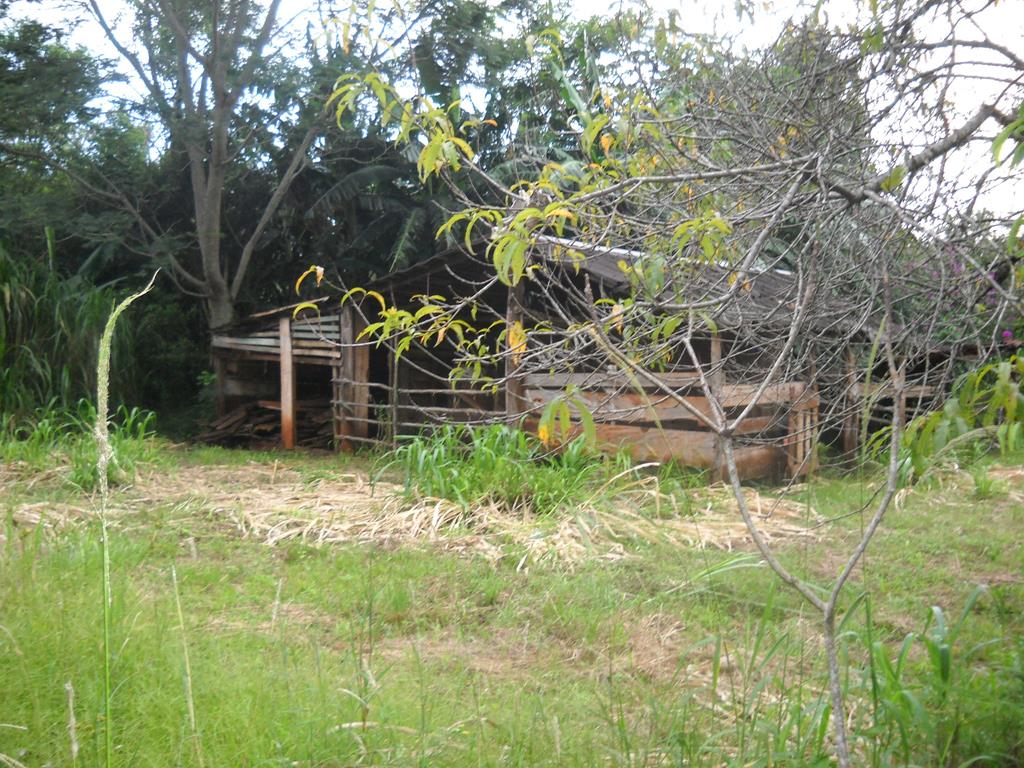VENDO / PERMUTO - 12,5 Has Gral. Alvear - Prov. de Misiones - 8