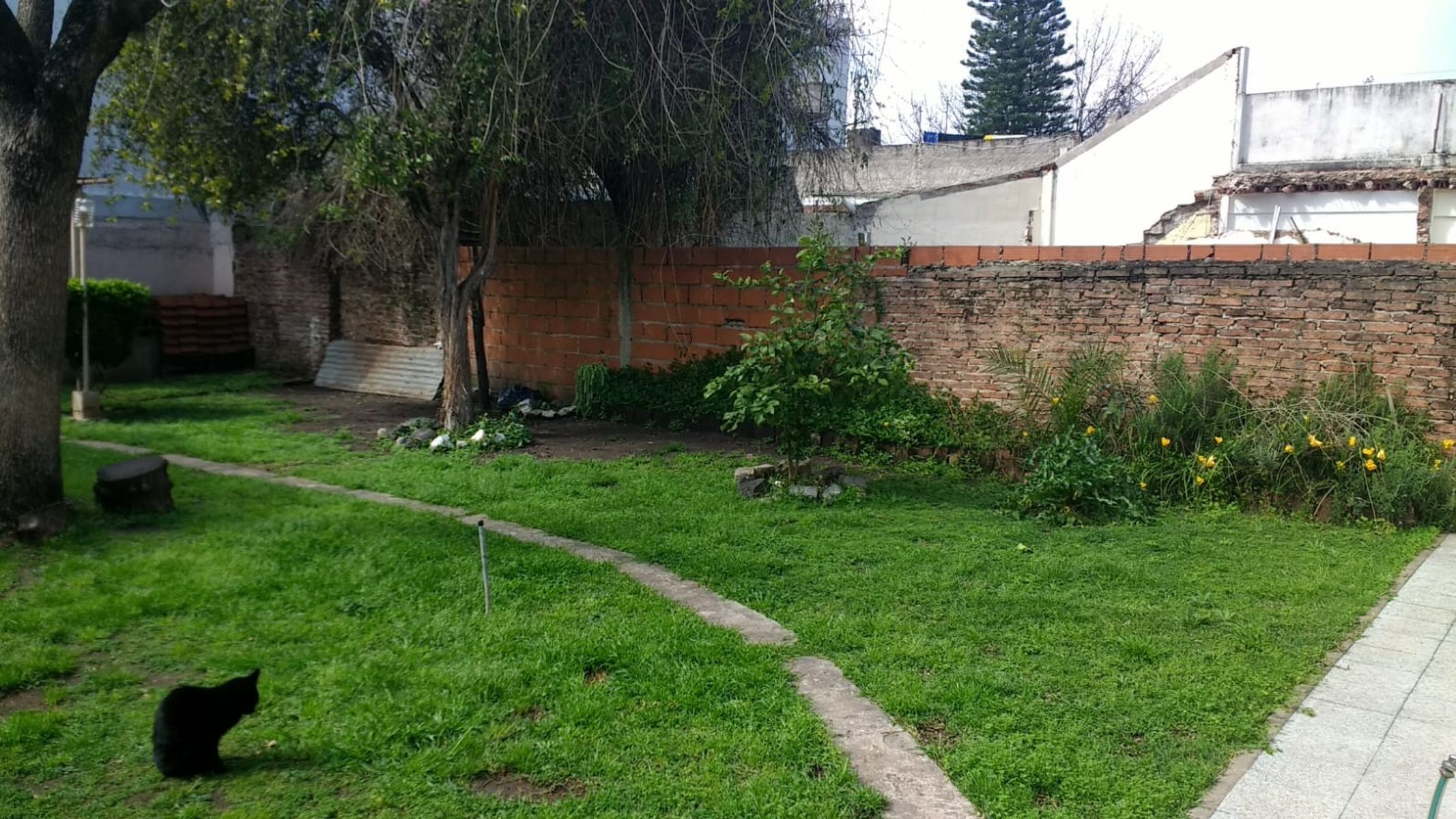 Casa 3 ambientes En Villa Luzuriaga Con Jardín, garage cubierto, y fondolibre con lavadero — foto 11