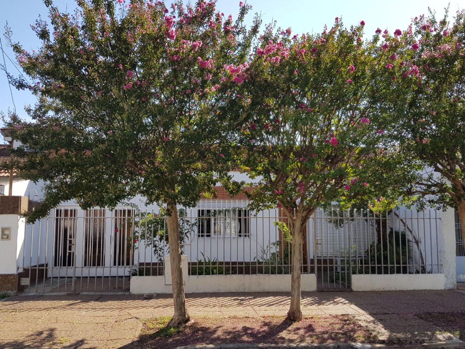 excelente casa 3 ambientes con garage y fondo libre - 2