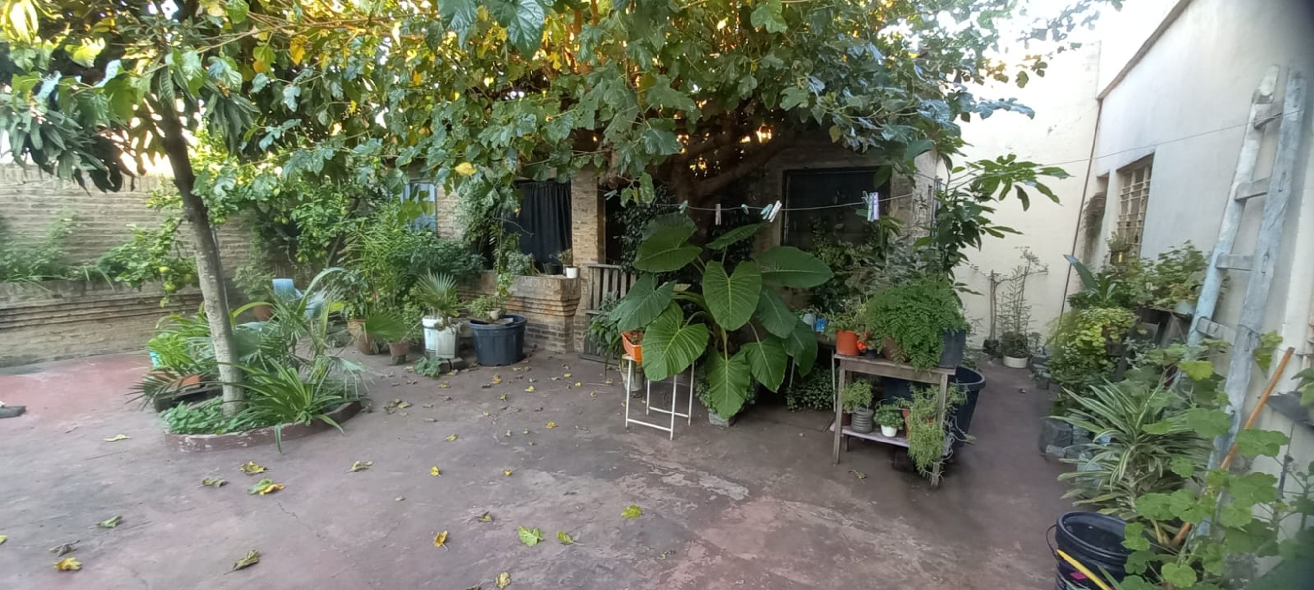 excelente casa 3 ambientes con garage y fondo libre - 11