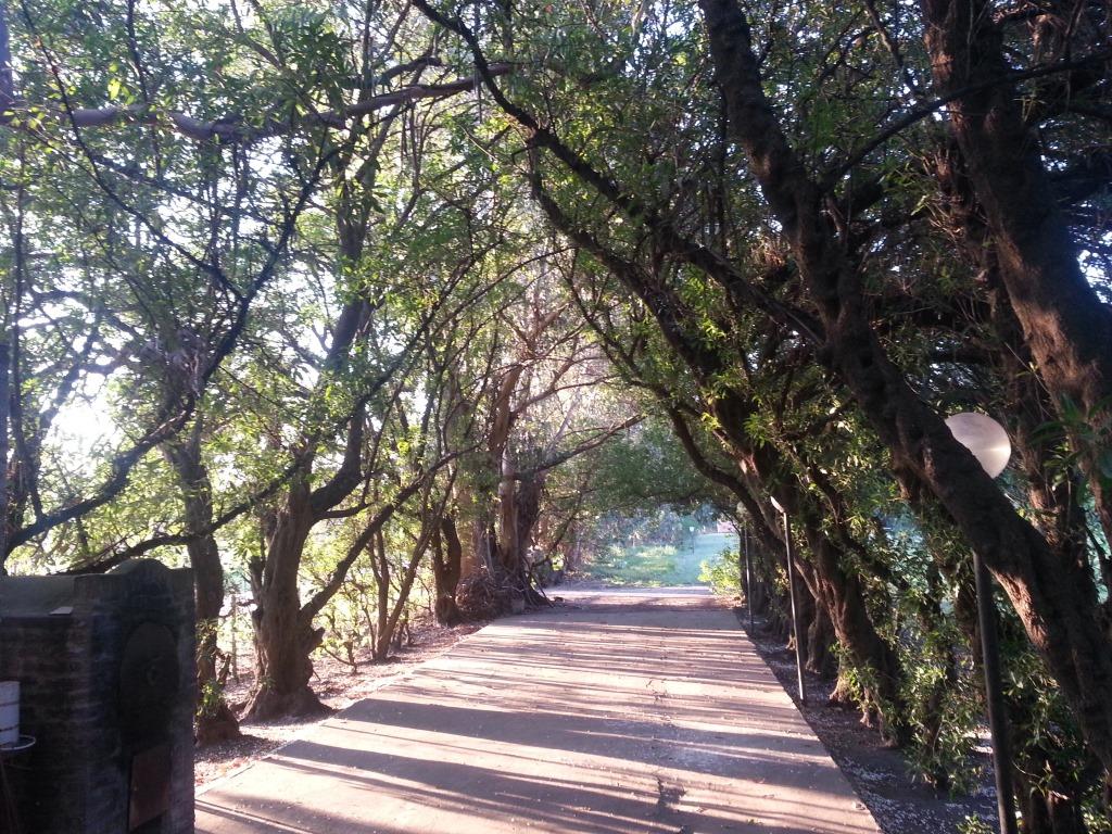 Espectacular Casaquinta en venta! Zona turismo rural Av. 37 - 2