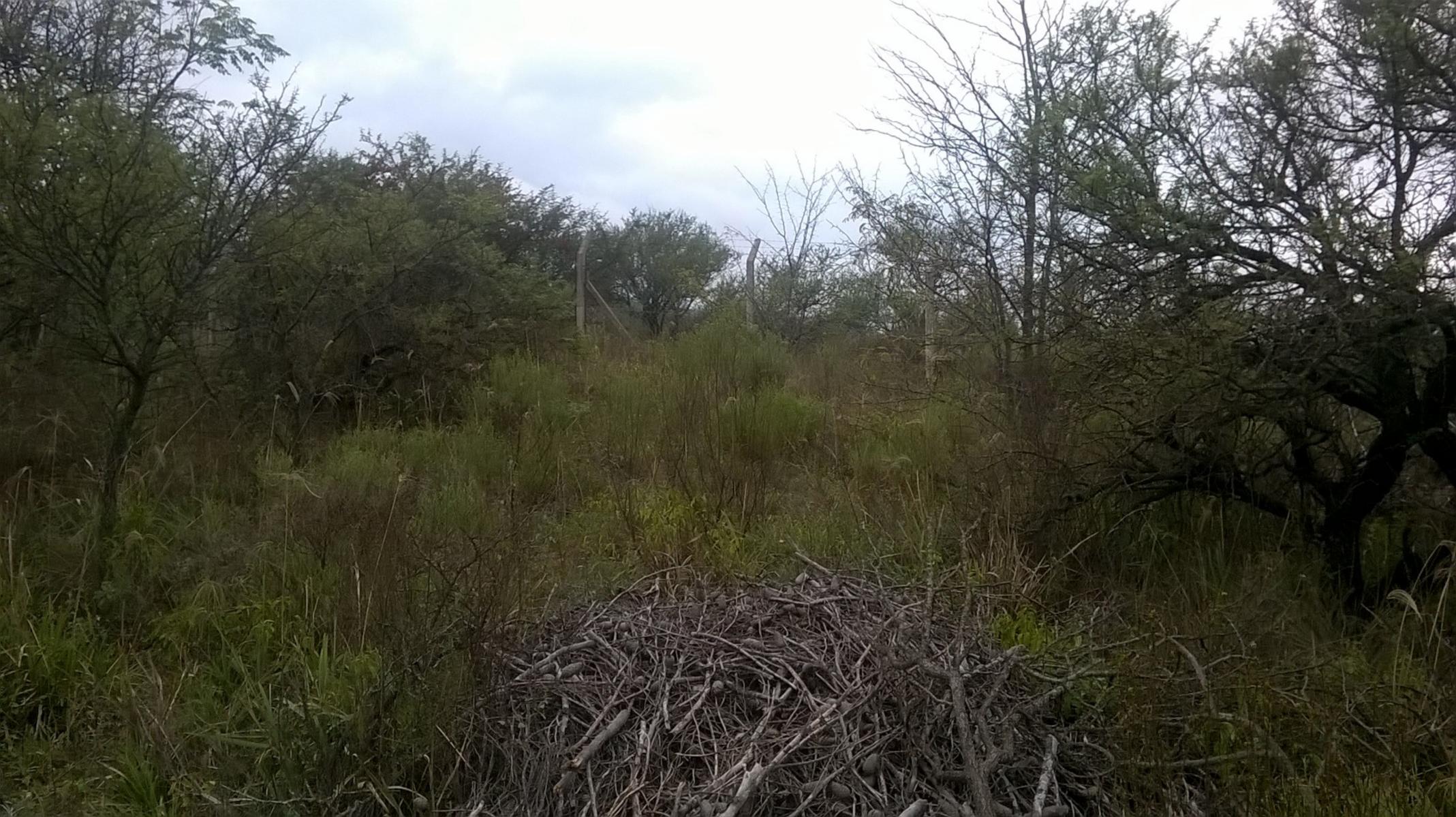 Lote de 800 m2, a mts de la ruta, escuela secundaria, dispensario, policia, locales comerciales, Ideal Vivienda Permanente. con todos los servicios y ESCRITURA. — foto 2