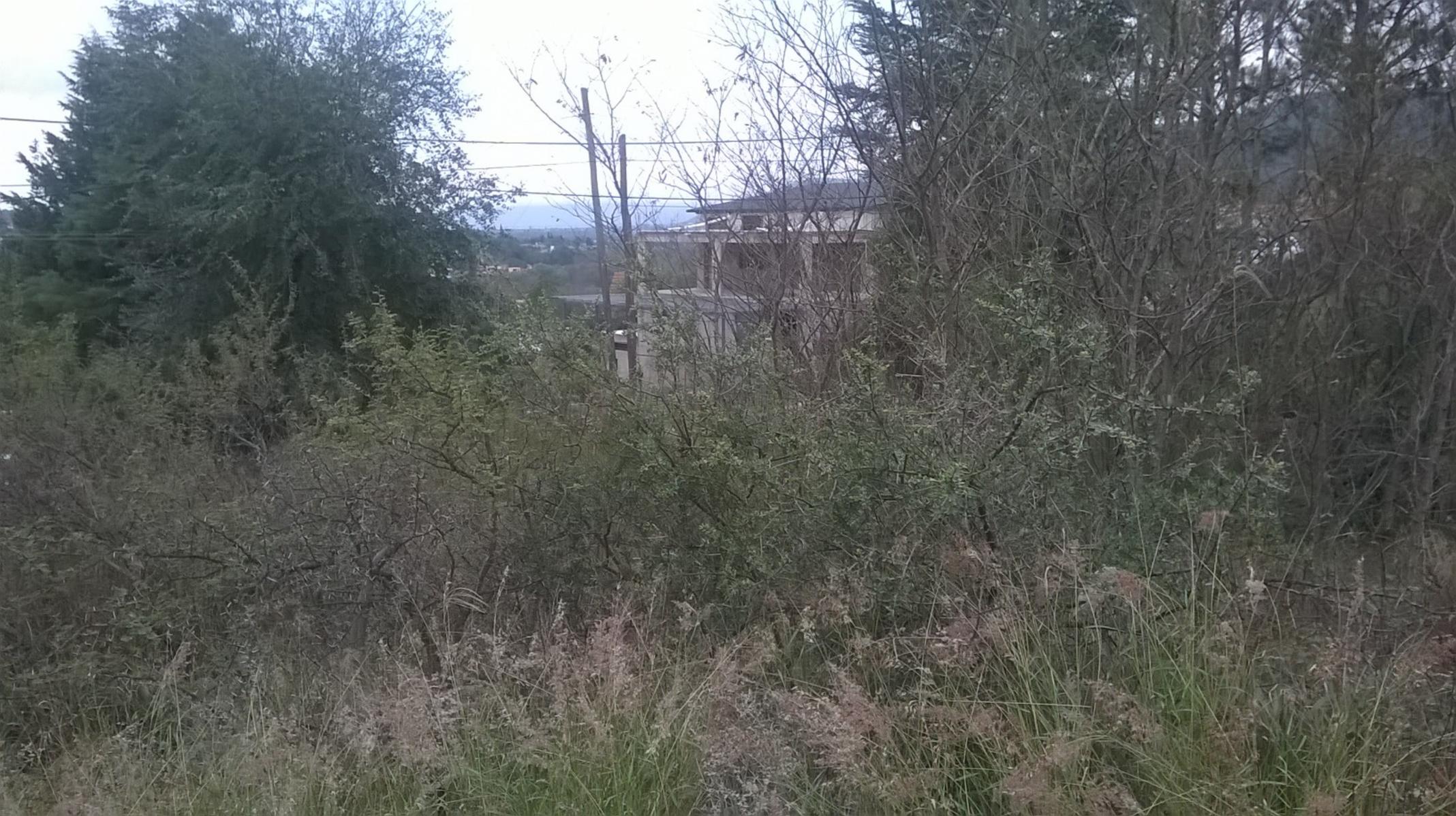 Lote de 800 m2, a mts de la ruta, escuela secundaria, dispensario, policia, locales comerciales, Ideal Vivienda Permanente. con todos los servicios y ESCRITURA. — foto 4
