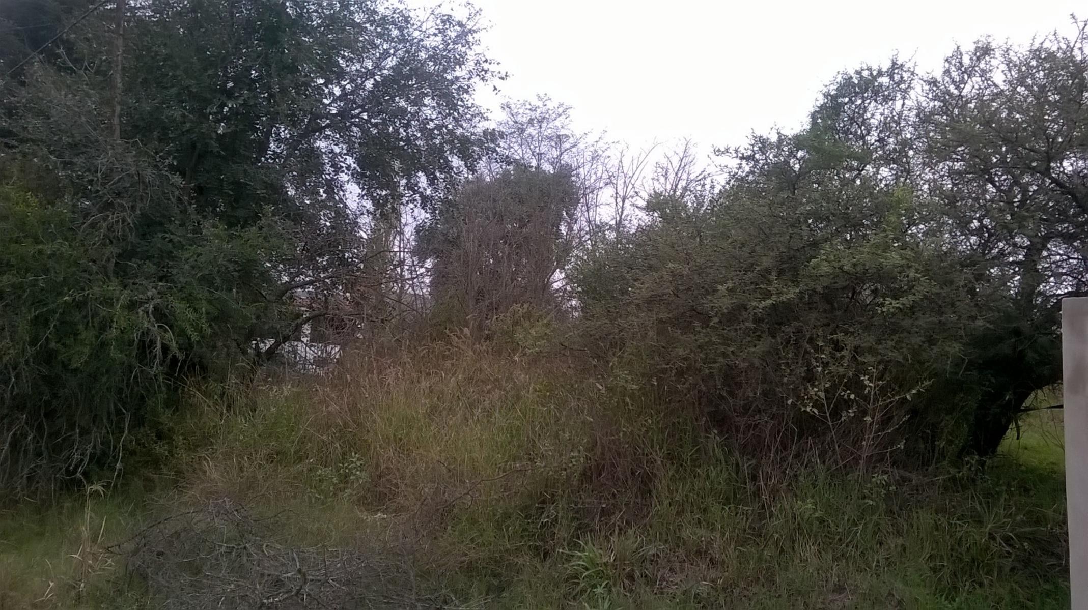 Lote de 800 m2, a mts de la ruta, escuela secundaria, dispensario, policia, locales comerciales, Ideal Vivienda Permanente. con todos los servicios y ESCRITURA. — foto 5