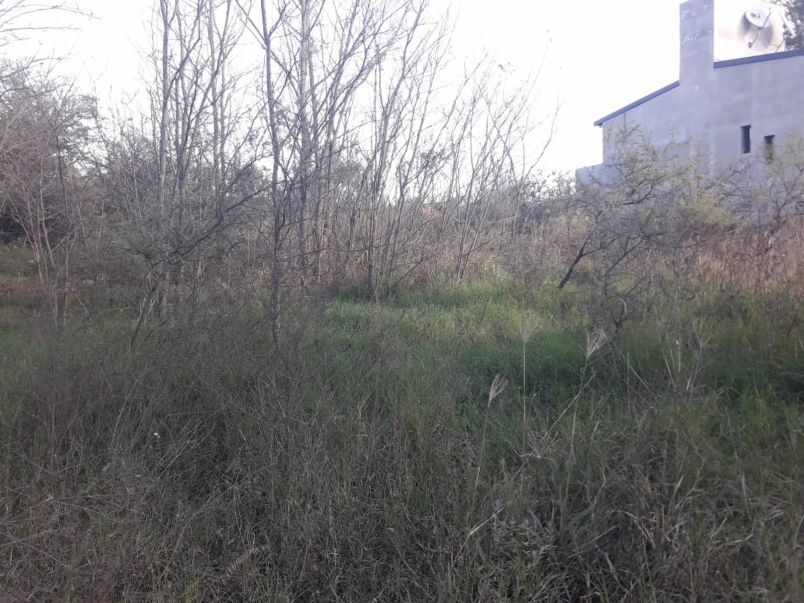 LOTE de 800 m2, a mts de la ruta, con muy buena vista alas montañas, con todos los servicios, a una cuadra del centro civico, dispensario, ESCRITURA. — foto 5