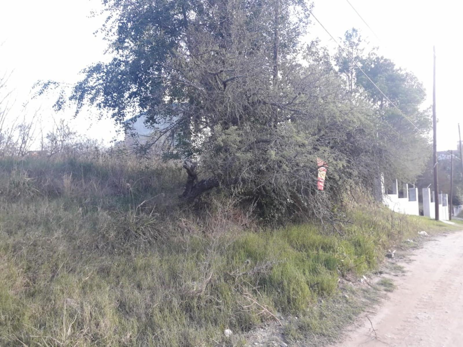 LOTE de 800 m2, a mts de la ruta, con muy buena vista alas montañas, con todos los servicios, a una cuadra del centro civico, dispensario, ESCRITURA. — foto 6