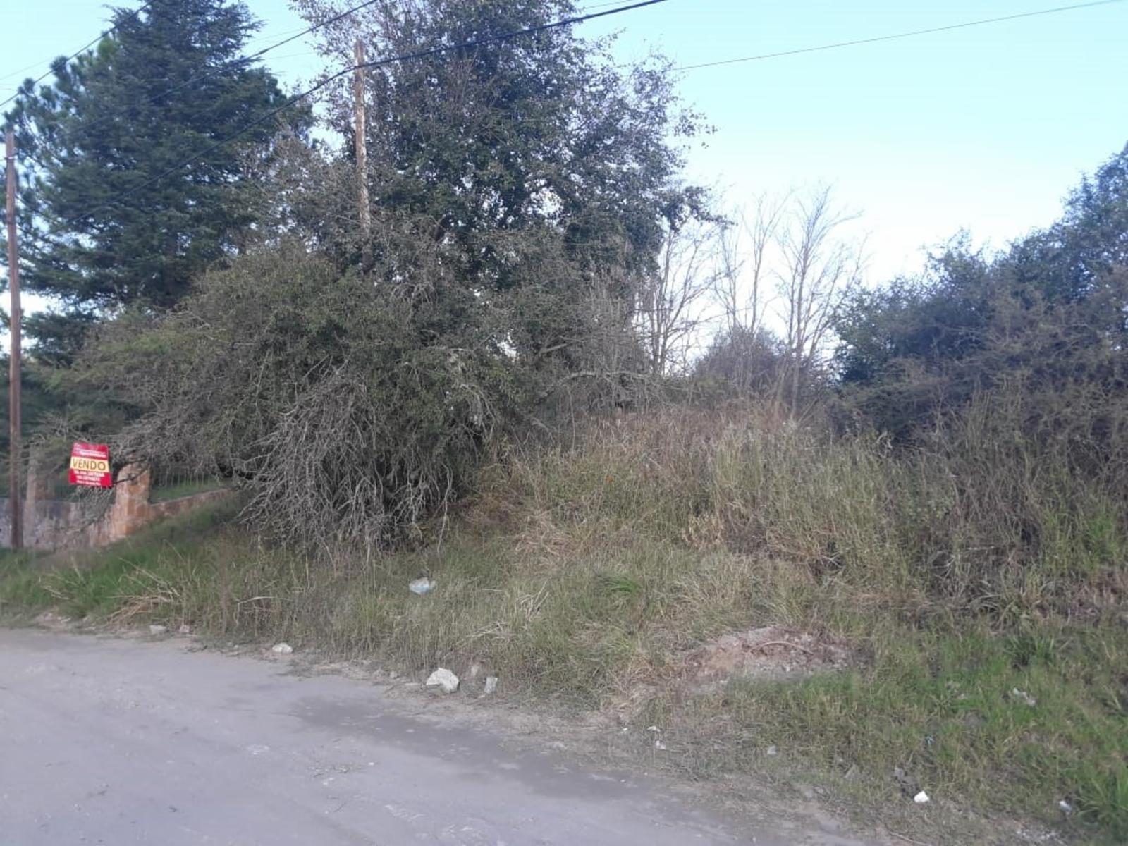LOTE de 800 m2, a mts de la ruta, con muy buena vista alas montañas, con todos los servicios, a una cuadra del centro civico, dispensario, ESCRITURA. — foto 7