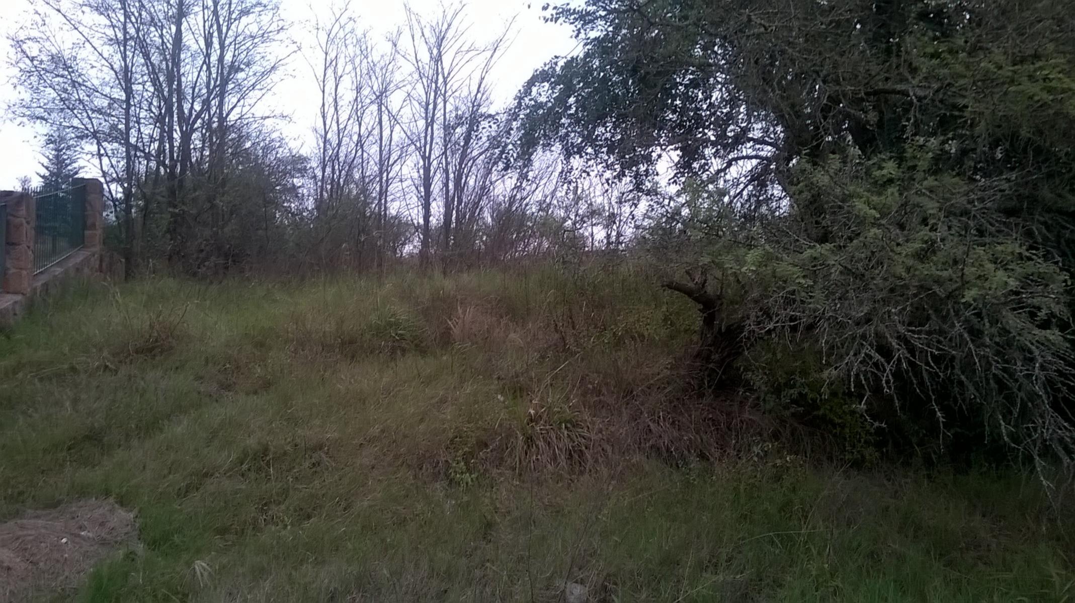 LOTE de 800 m2, a mts de la ruta, con muy buena vista alas montañas, con todos los servicios, a una cuadra del centro civico, dispensario, ESCRITURA. — foto 9