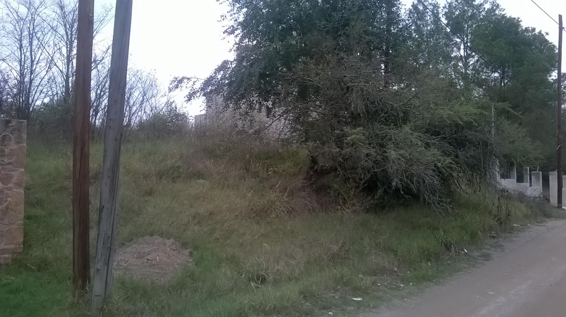 LOTE de 800 m2, a mts de la ruta, con muy buena vista alas montañas, con todos los servicios, a una cuadra del centro civico, dispensario, ESCRITURA. — foto 10