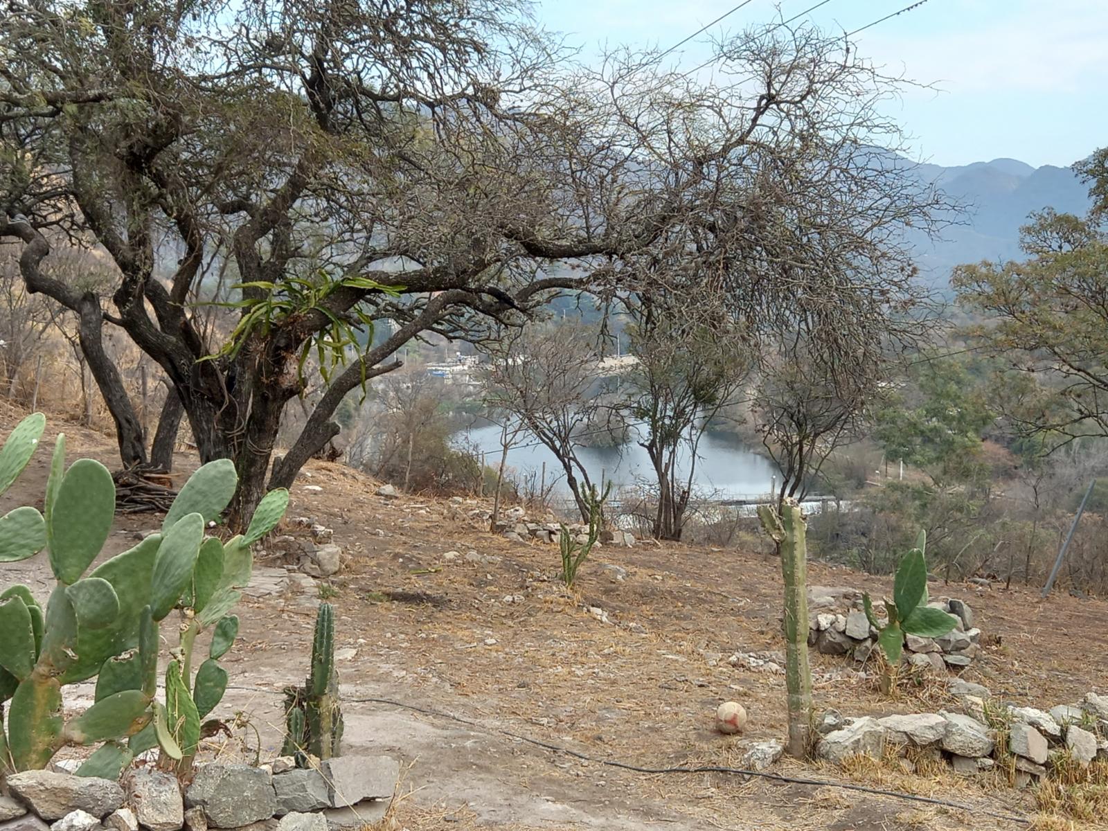 Campo de 2 hectareas con 8524 m2, sobre la ruta frente al balneario El Diquecito.... CON TODOS LOS SERVICIOS, PLANO DE MENSURA Y ESCRITURA. - 9