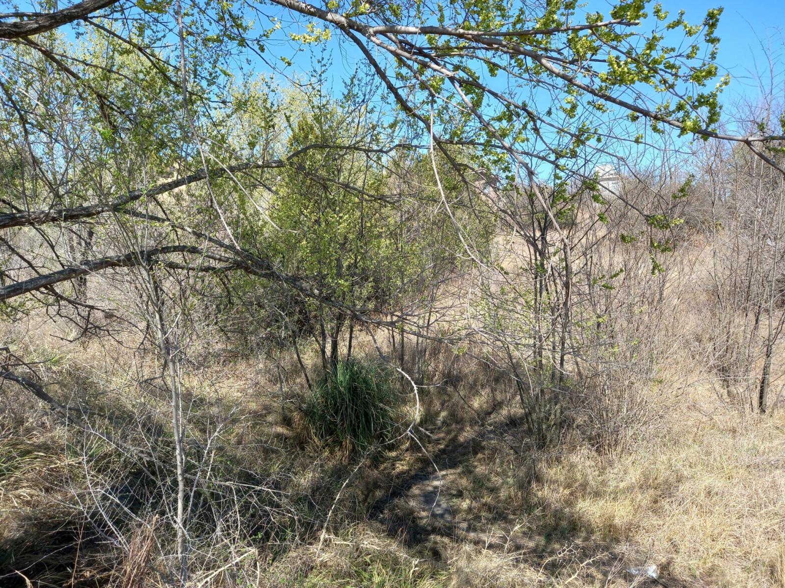 LOTE en playas de oro de san antonio, a una cuadra del rio, lote de 636, en la esquina de Tte Marisa y Cabo Varas, con todos los servicios y escritura. — foto 3