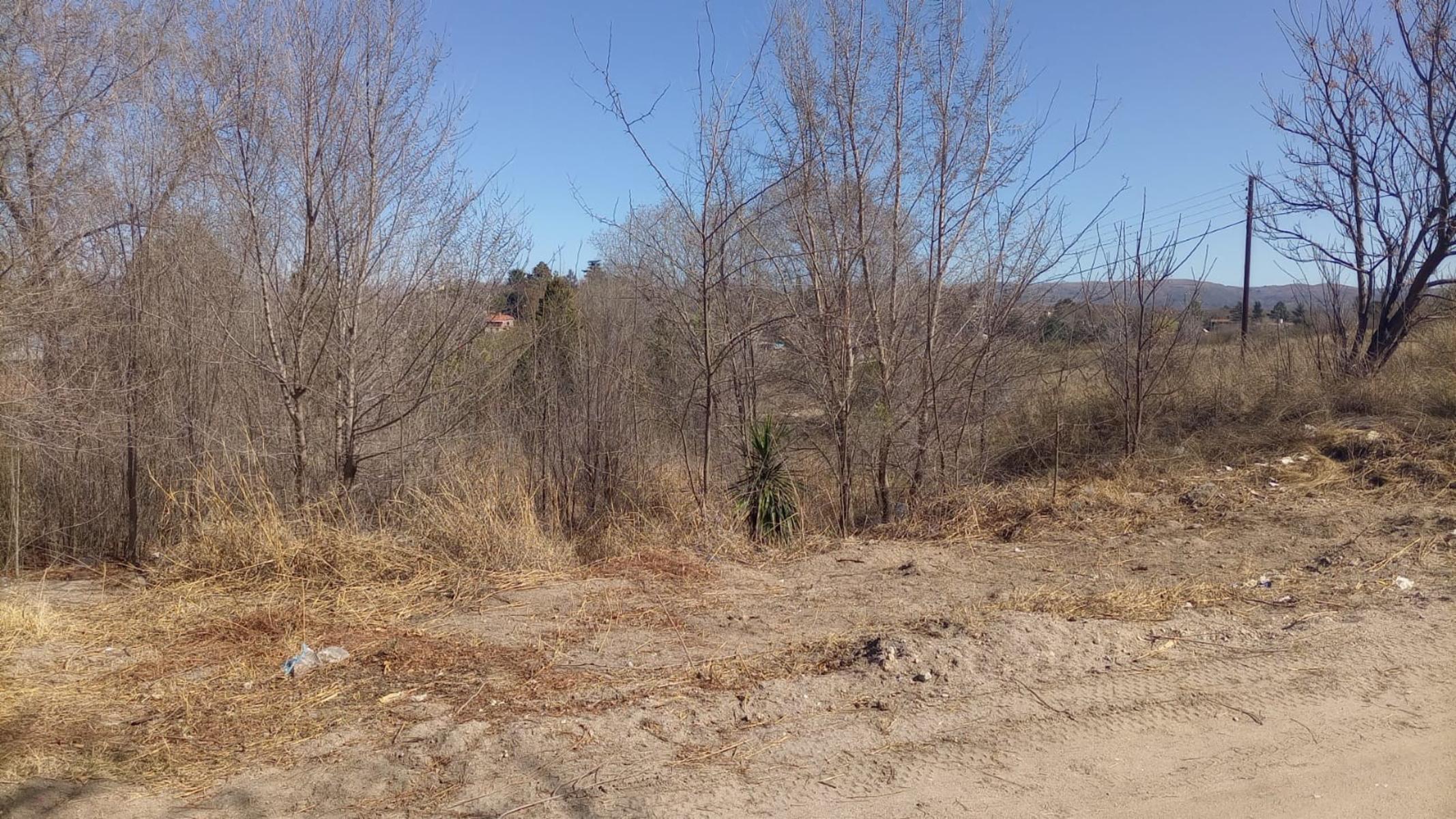 LOTE en playas de oro de san antonio, a una cuadra del rio, lote de 636, en la esquina de Tte Marisa y Cabo Varas, con todos los servicios y escritura. — foto 6
