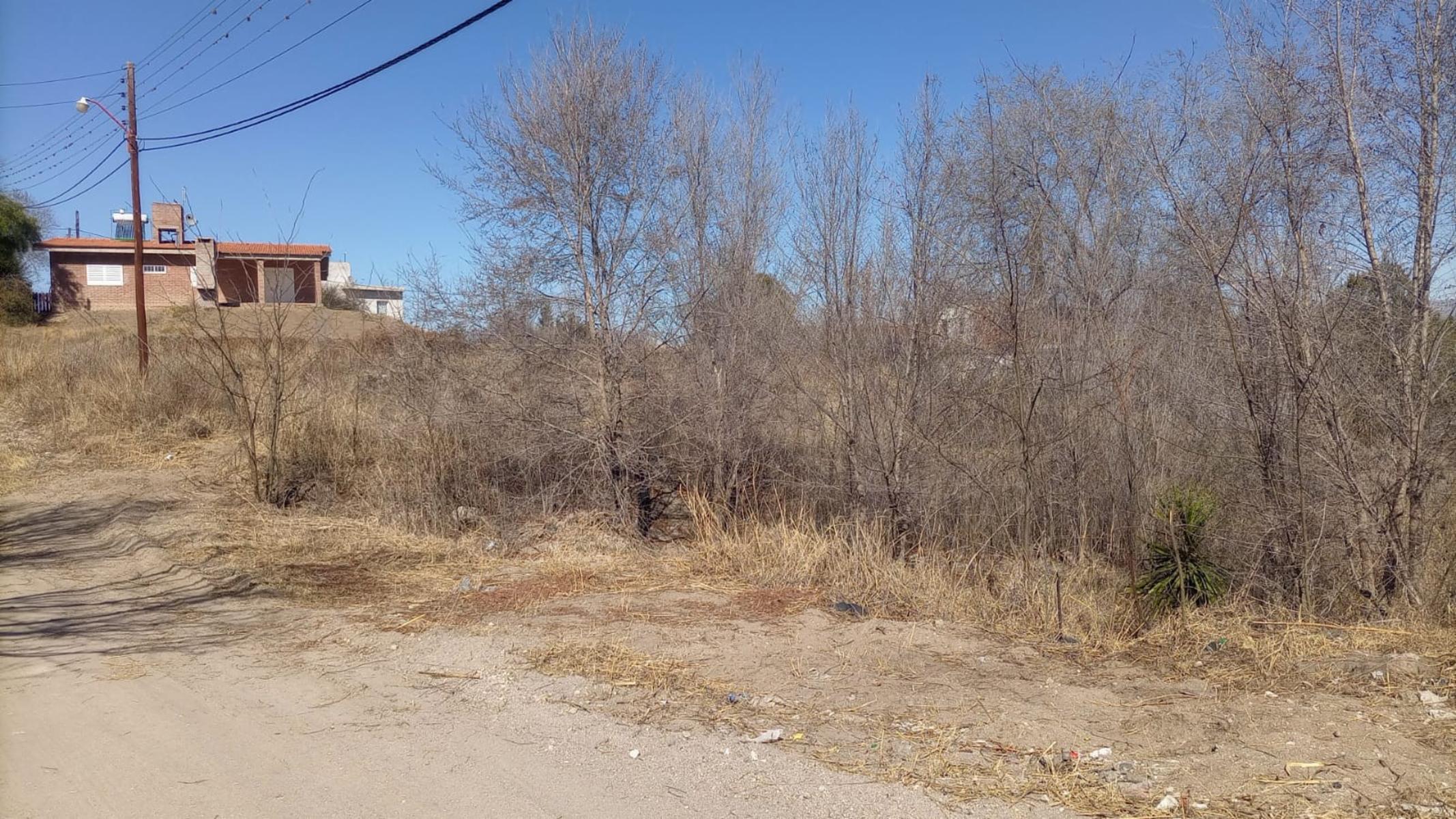 LOTE en playas de oro de san antonio, a una cuadra del rio, lote de 636, en la esquina de Tte Marisa y Cabo Varas, con todos los servicios y escritura. — foto 7