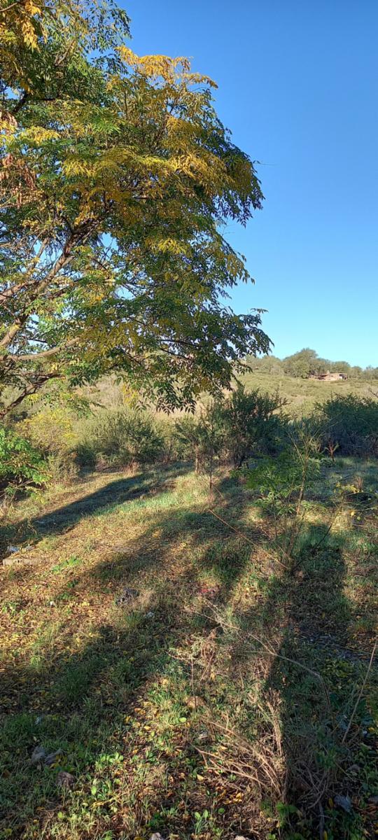 LOTE playas de oro, Tte NIVOLI. 701 m2 — foto 2