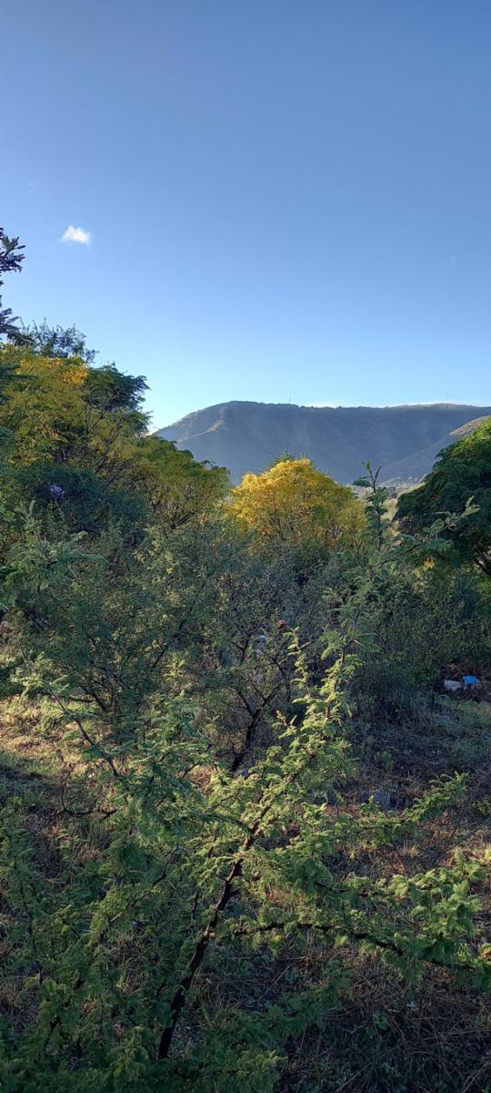 LOTE playas de oro, Tte NIVOLI. 701 m2 — foto 4