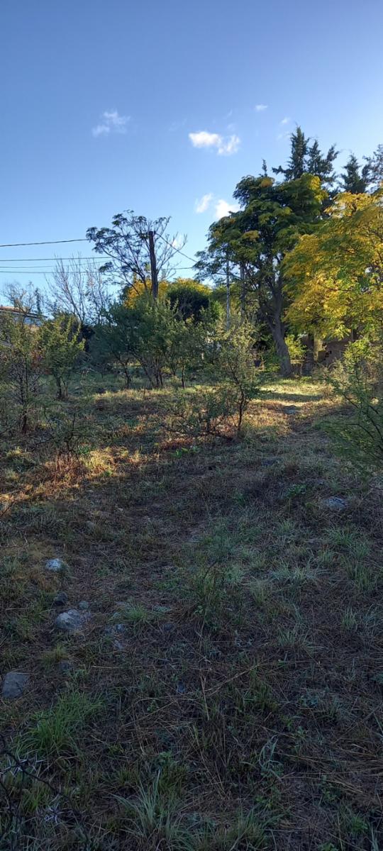 LOTE playas de oro, Tte NIVOLI. 701 m2 — foto 6