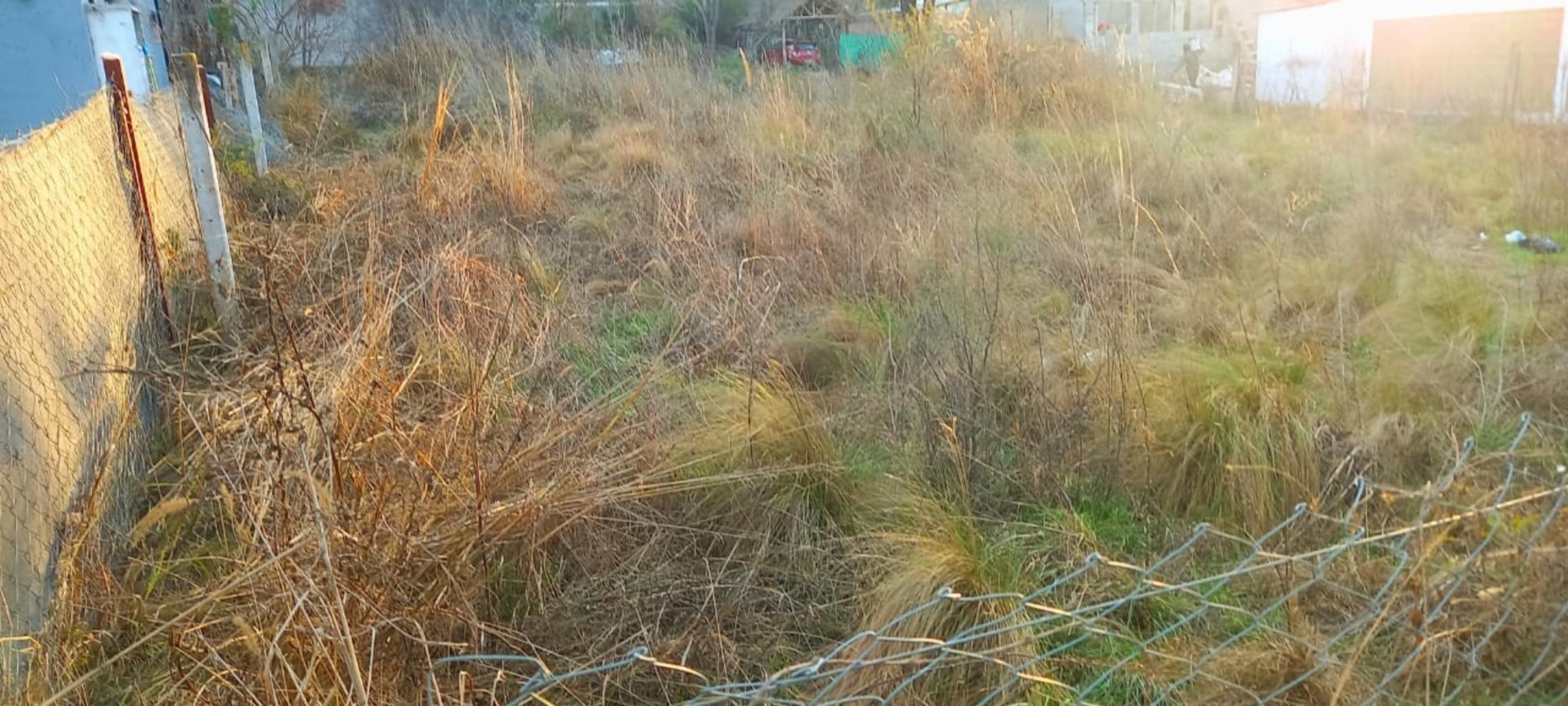 LOTE de 700 m2, en playas de oro de San Antonio, con todos los servicios, totalmente llano con entorno familiar y ESCRITURA....TOTALMENTE ALAMBRADO Y CON PORTON DE INGRESO.