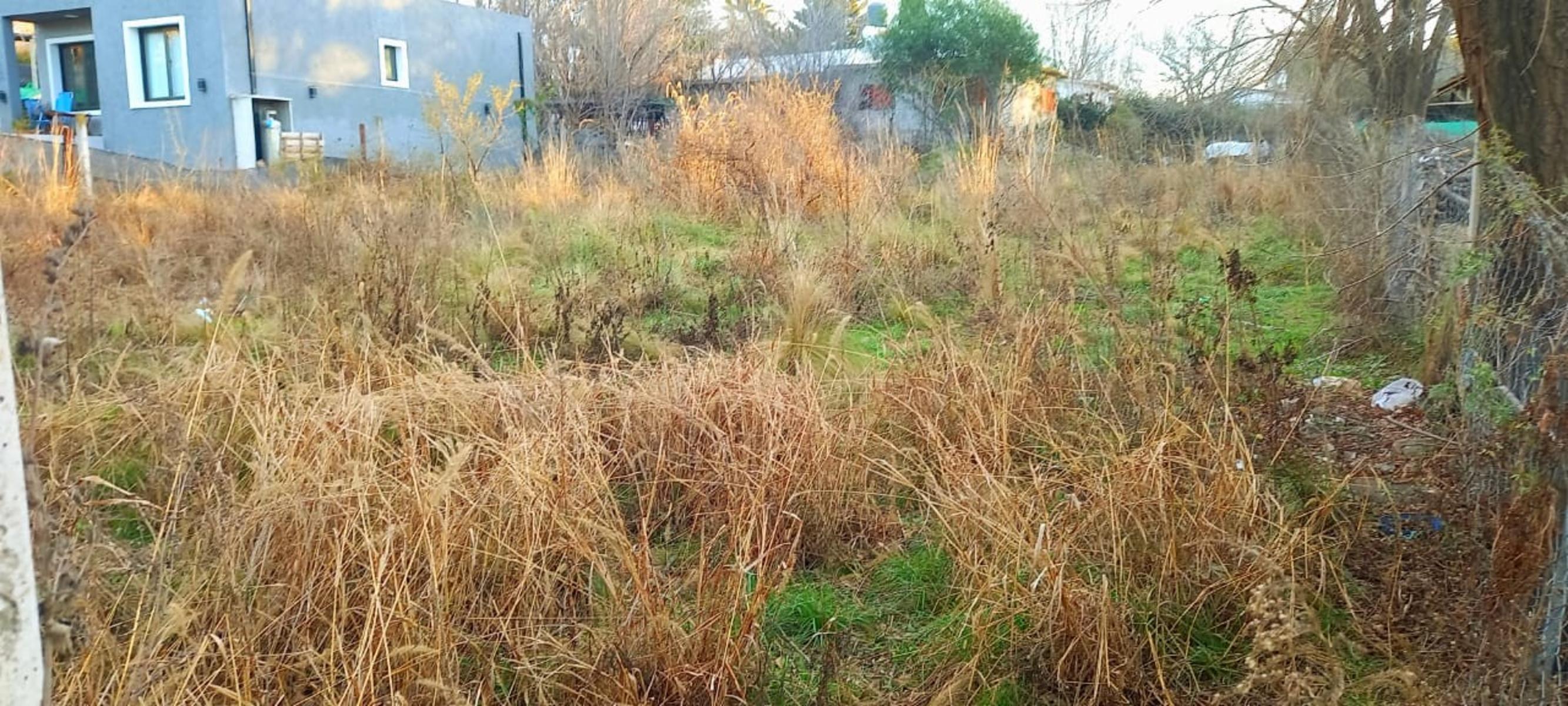 LOTE de 700 m2, en playas de oro de San Antonio, con todos los servicios, totalmente llano con entorno familiar y ESCRITURA....TOTALMENTE ALAMBRADO Y CON PORTON DE INGRESO. — foto 2