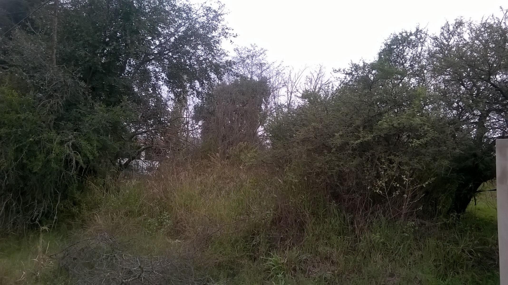 HERMOSO LOTE , en san antonio de arredondo, a 1 cuadra de la ruta, municipalidad, dispensario, con todos los servicios, alumbrado publico, MUY BUEN ENTORNO — foto 3